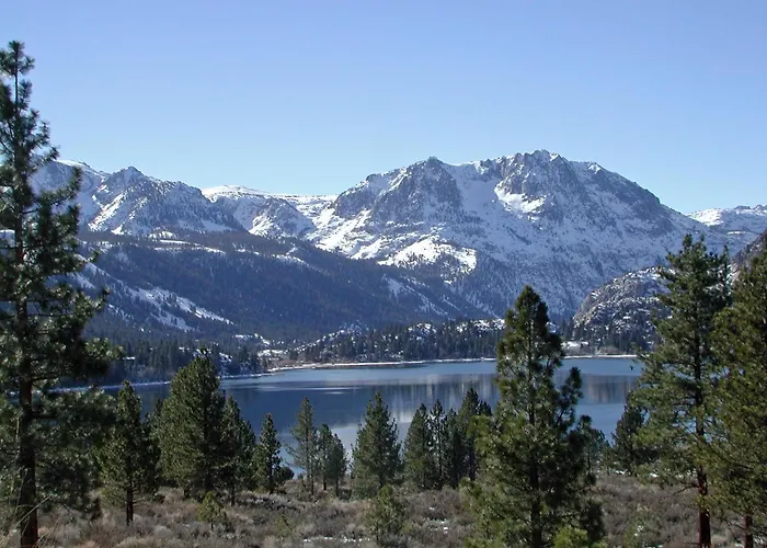 Lake Front Cabins